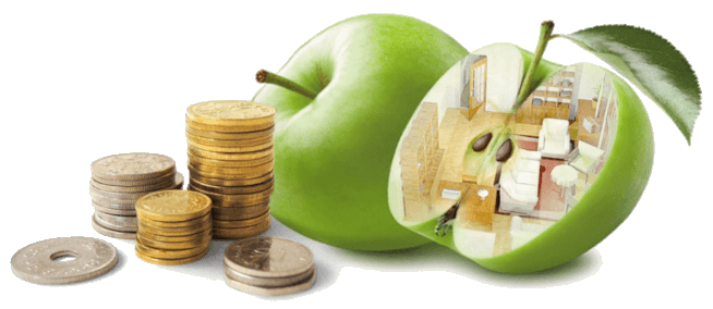 Доля в уставном капитале предприятия на примере яблока
